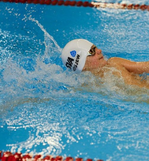 to swim, wet, pool-3095629.jpg